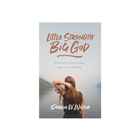 Little Strength, Big God: Discover a God Greater than Your Goliaths